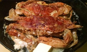 Cooking Soft Crab