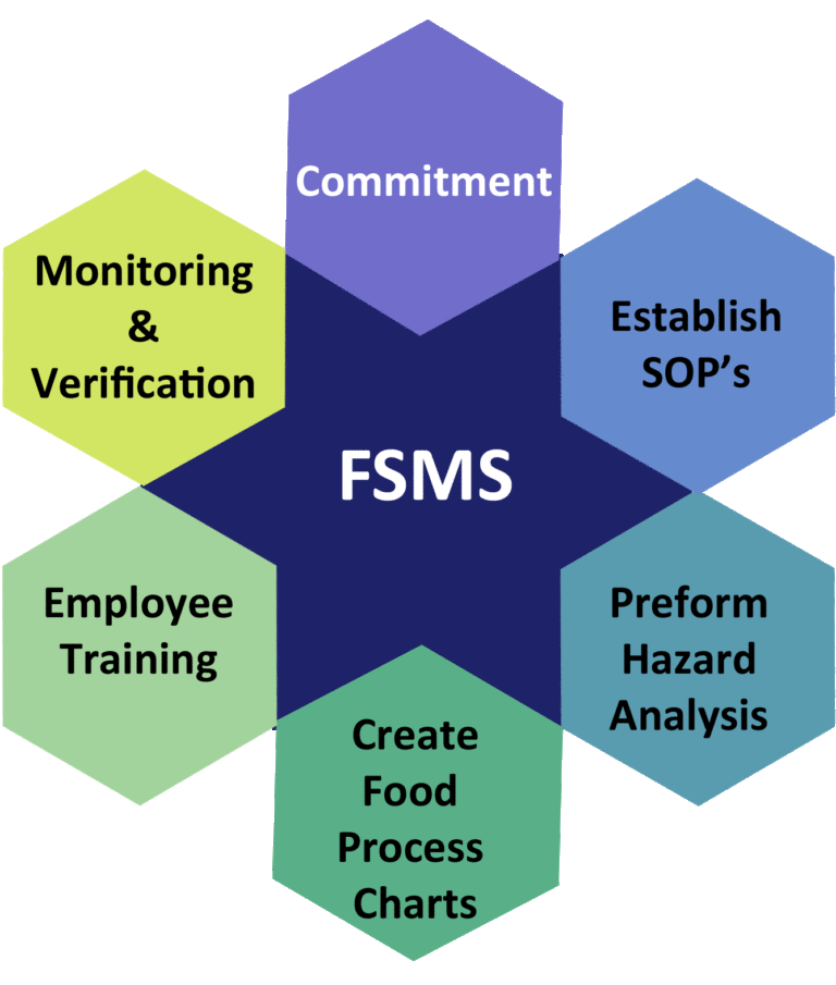 Retail Is your food safety management system healthy? Inside Sue’s